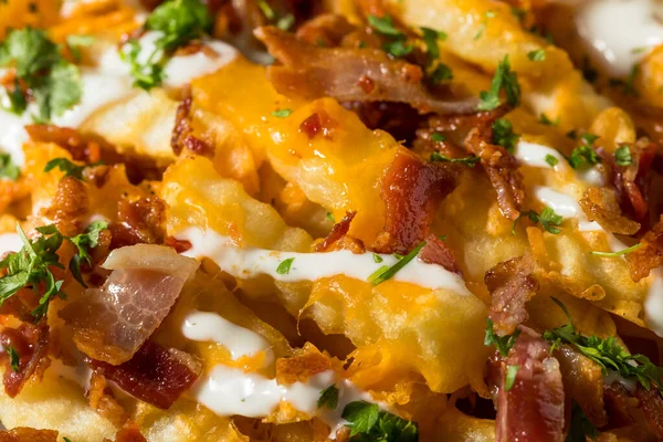 Homemade Bacon Cheddar Ranch Loaded French Fries Ready Eat — Stock Photo, Image