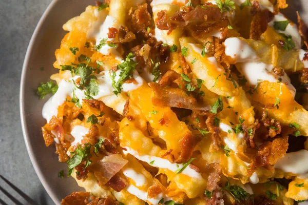 Homemade Bacon Cheddar Ranch Loaded French Fries Ready Eat — Stock Photo, Image