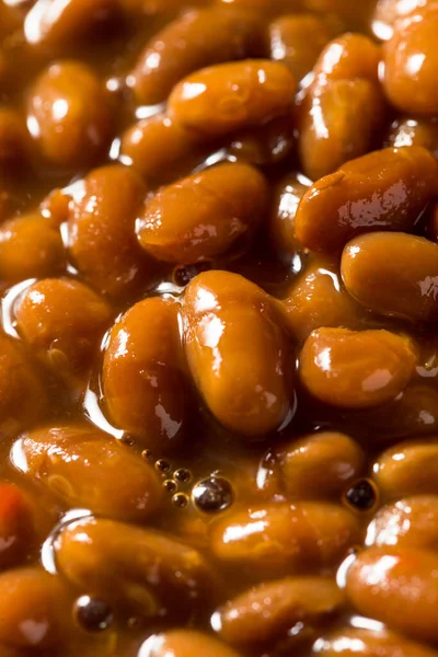 Homemade Healthy Bakes Beans Bowl — Stock Photo, Image