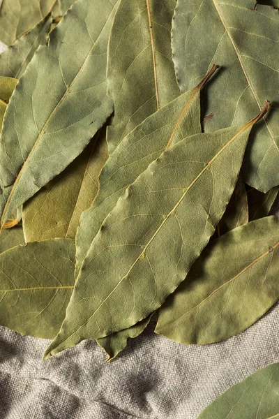 Healthy Organic Raw Bay Leaves Bunch — 스톡 사진