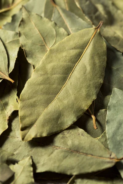 Healthy Organic Raw Bay Leaves Bunch — 스톡 사진