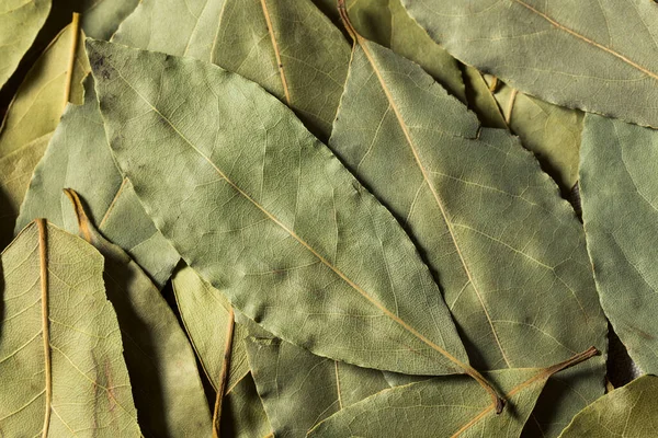Healthy Organic Raw Bay Leaves Bunch — 스톡 사진