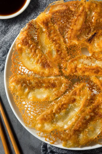 Homemade Fried Lace Dumpling Potstickers Soy Dipping Sauce — Stock Photo, Image