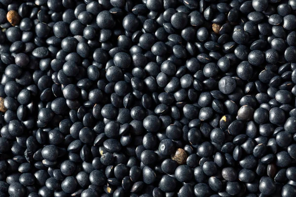 Healthy Organic Black Lentils Bowl — Stock Photo, Image