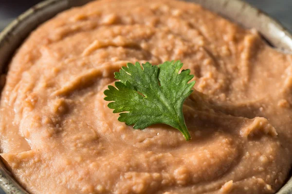 Frijoles Pinto Refrescos Orgánicos Caseros Listo Para Comer —  Fotos de Stock