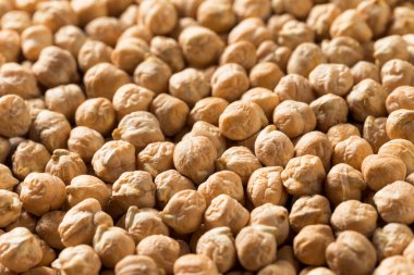 Kuru Organik Nohut Garbanzo Fasulye Kasede