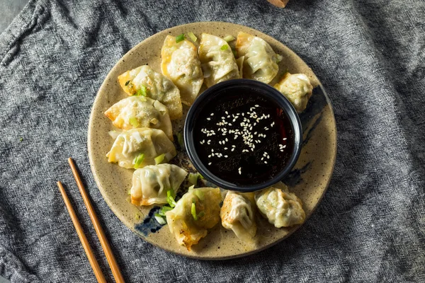 Hemlagad Pan Stekt Kyckling Wontons Med Doppsås — Stockfoto