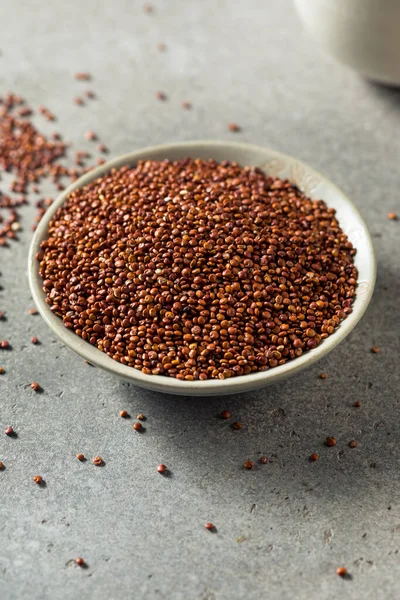 Raw Dry Organic Red Quinoa Ένα Μπολ — Φωτογραφία Αρχείου