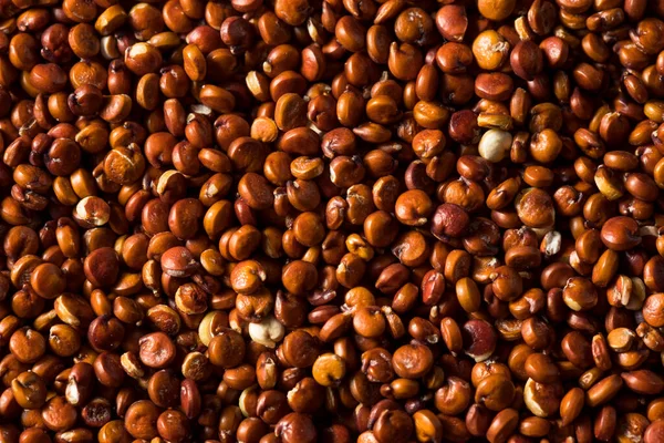 Raw Dry Organic Red Quinoa Bowl — Stock Photo, Image