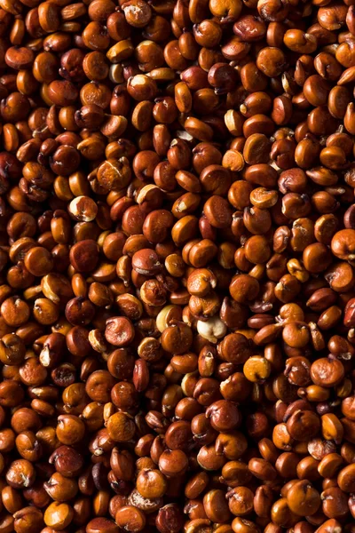 Raw Dry Organic Red Quinoa Bowl — Stock Photo, Image