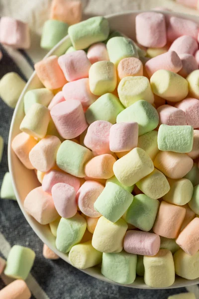 Sweet Rainbow Fruity Mini Marshmallows Bowl — Stock Photo, Image