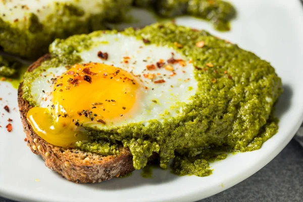 Torrada Ovo Pesto Orgânico Saudável Para Café Manhã Com Pimenta — Fotografia de Stock