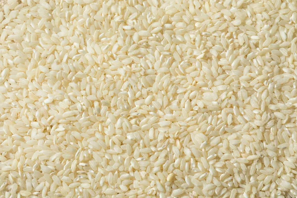 Сырой Белый Органический Рис Арборио Готов Приготовлению — стоковое фото