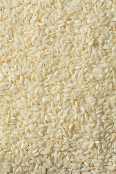 Сырой Белый Органический Рис Арборио Готов Приготовлению — стоковое фото