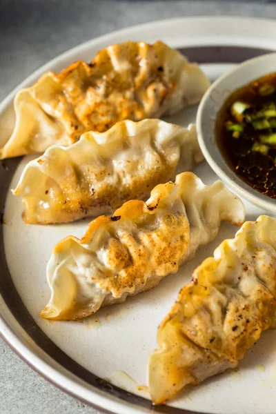 Zelfgemaakte Koreaanse Rundvlees Mandu Potstickers Met Dipsaus — Stockfoto