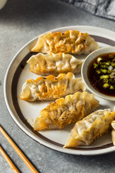 Domácí Korejské Hovězí Mandu Nálepky Omáčkou — Stock fotografie