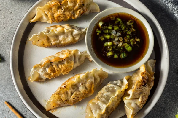 Potstickers Mandu Boeuf Coréen Maison Avec Sauce Tremper — Photo