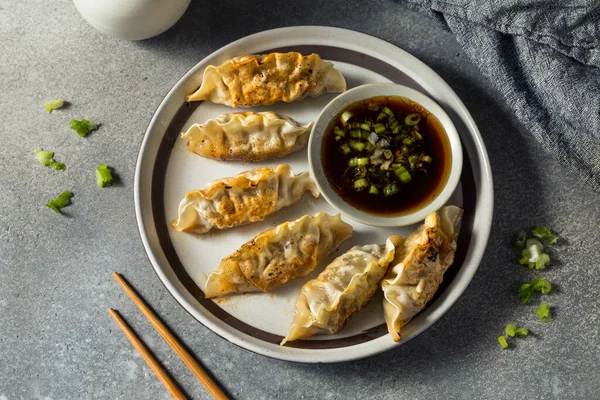 Caseiro Coreano Carne Mandu Potstickers Com Molho Mergulho — Fotografia de Stock