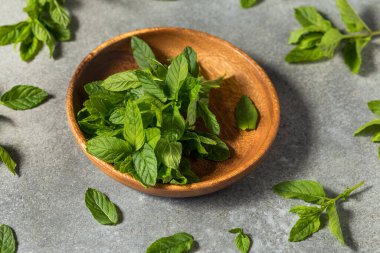 Çiğ Yeşil Organik Nane Bitkileri Kullanmaya Hazır