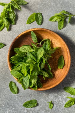 Çiğ Yeşil Organik Nane Bitkileri Kullanmaya Hazır