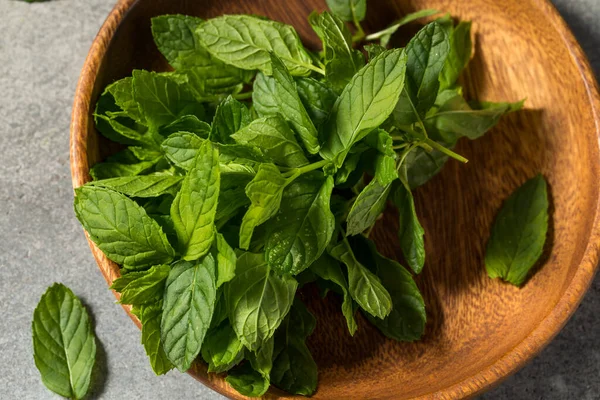 Raw Green Organic Mint Herbs Redo Att Använda — Stockfoto