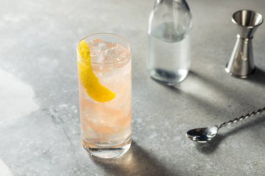 Soğuk Cin Yabanmersini Vasektomisi Soda Suyu ile Kokteyl