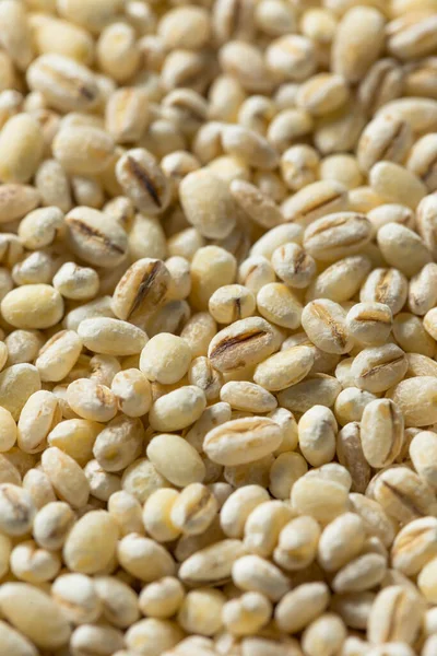 Raw Organic Dry Pearl Barley Μπολ — Φωτογραφία Αρχείου