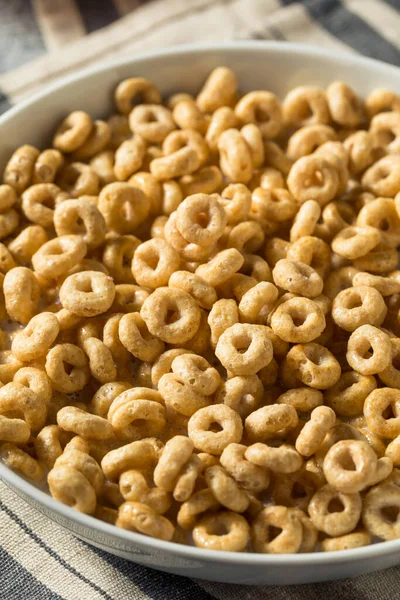 Cereal Saludable Miel Avena Con Leche Orgánica Tazón — Foto de Stock