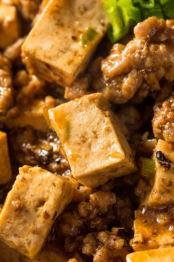 Ev yapımı Çin Mapo Tofu 'su. Domuz eti ve Scallion' lu.