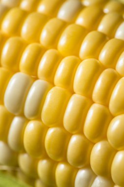 Çiğ Sarı Organik Mısır Kabuktaki Koçanda