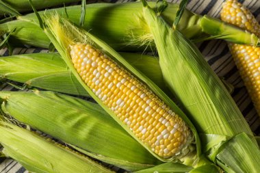 Çiğ Sarı Organik Mısır Kabuktaki Koçanda