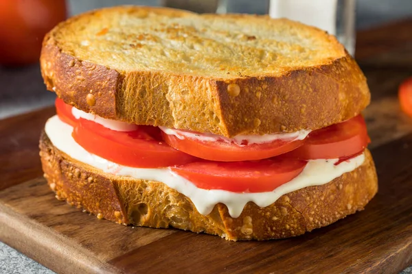 Healthy Homemade Tomato Sandwich Gourmet Mayo — Stock Photo, Image