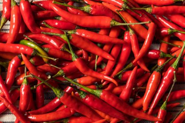 Bir demet sağlıklı organik Tayland kırmızı biberi.