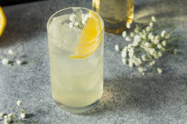 Limon ve sodayla soğuk serinletici Elderflower içeceği