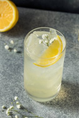 Limon ve sodayla soğuk serinletici Elderflower içeceği