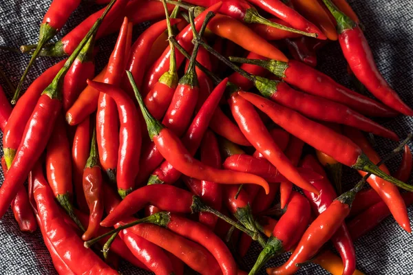 Hälsosam Ekologisk Thailändsk Röd Chili Paprika Grupp — Stockfoto