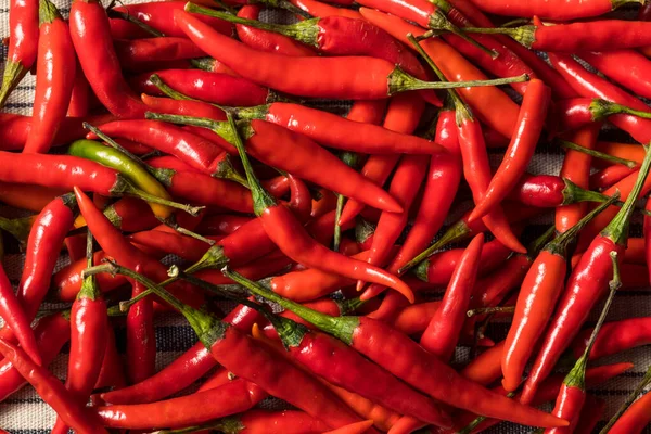 Gezond Biologische Thaise Rode Chili Pepers Een Bunch — Stockfoto