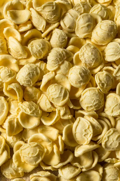 Orecchiette Sèche Maison Saine Dans Bol — Photo