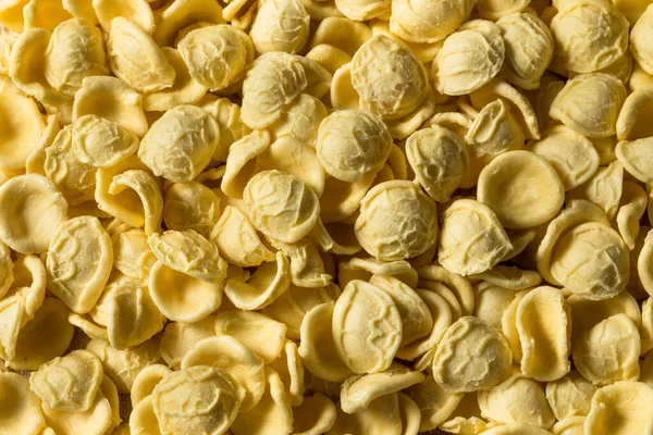 Friska Hemmagjord Torr Orecchiette Skål — Stockfoto