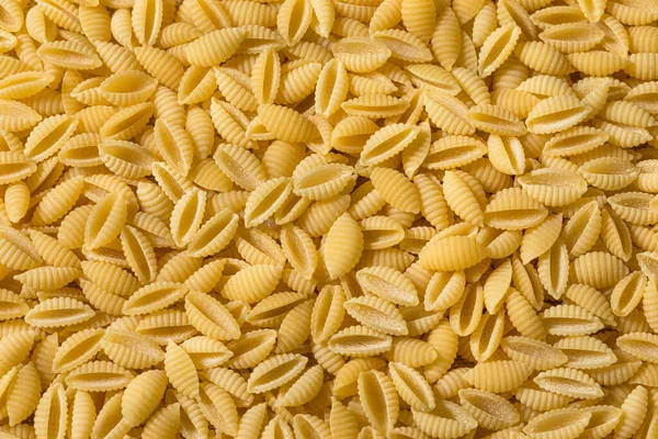 Pastas Ecológicas Secas Caseras Cavatelli Tazón —  Fotos de Stock