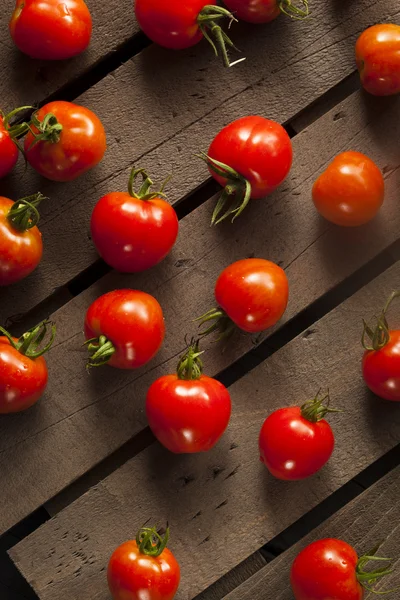 Rode organische cherry tomaten — Stockfoto