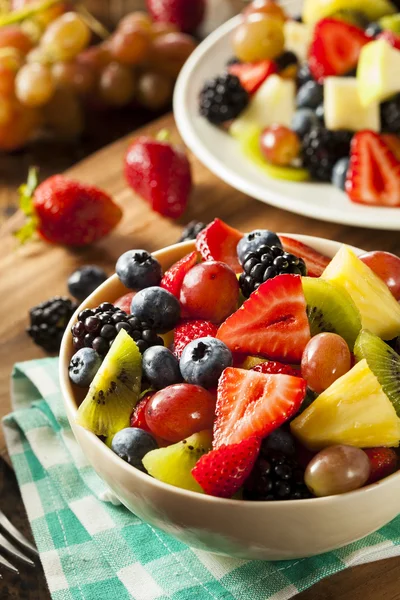 Heallthy organische fruitsalade — Stockfoto