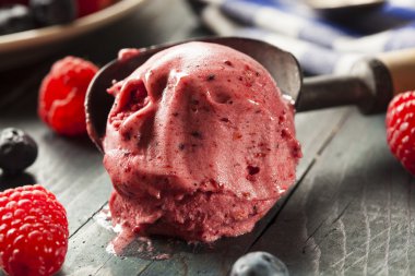 ev yapımı organik berry sorbe dondurma