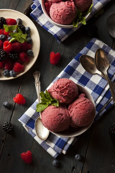 Homemade Organic Berry Sorbet Ice Cream — Stock Photo, Image
