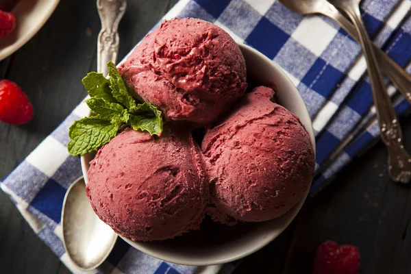 Sorvete de sorvete de baga orgânica caseiro — Fotografia de Stock