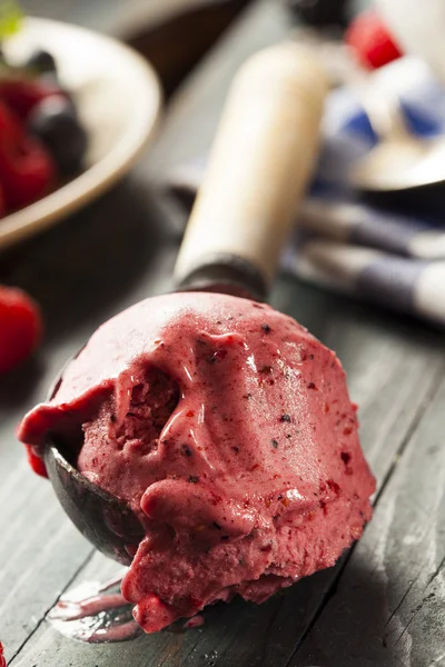Домашнее органическое ягодное мороженое Сорбет — стоковое фото