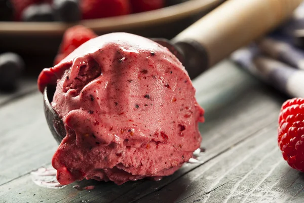 Hausgemachtes Bio-Beerensorbet-Eis — Stockfoto