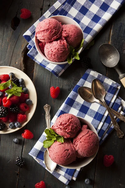 Hembakade ekologiska berry sorbet glass — Stockfoto