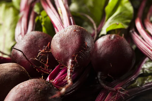 Raw Organic Red Beets — Stock Photo, Image