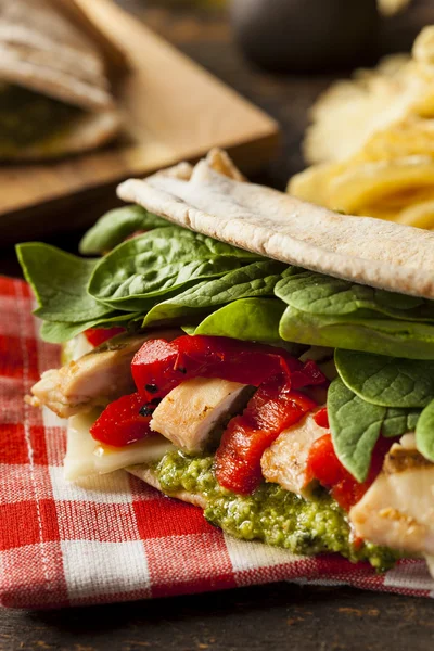 Sağlıklı ızgara tavuk pesto gözleme — Stok fotoğraf